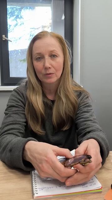 Какие риски есть у продавца, который хочет продать, а потом купить квартиру? смотреть онлайн