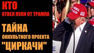 #топыкатегорий. Кто отвел пули от головы Трампа?.. #топыкатегорий