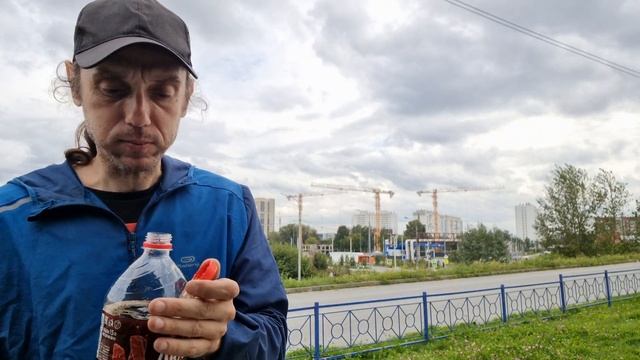 Колбаски Копчетто багет Лента с сыром и петрушкой и Л?