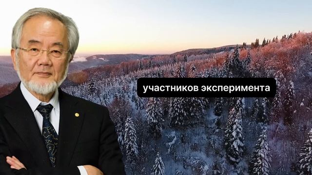 ВЕЛИЧАЙШЕЕ ОТКРЫТИЕ 21 ВЕКА! Гениальный Ученый Есинори