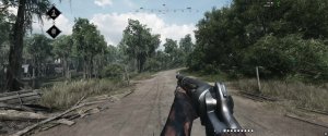 Hunt Showdown 1896 co-op