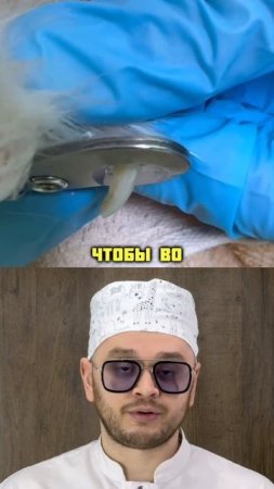 Как правильно стричь когти