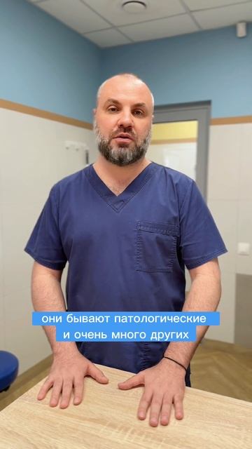 Собака сломала лапу, что делать