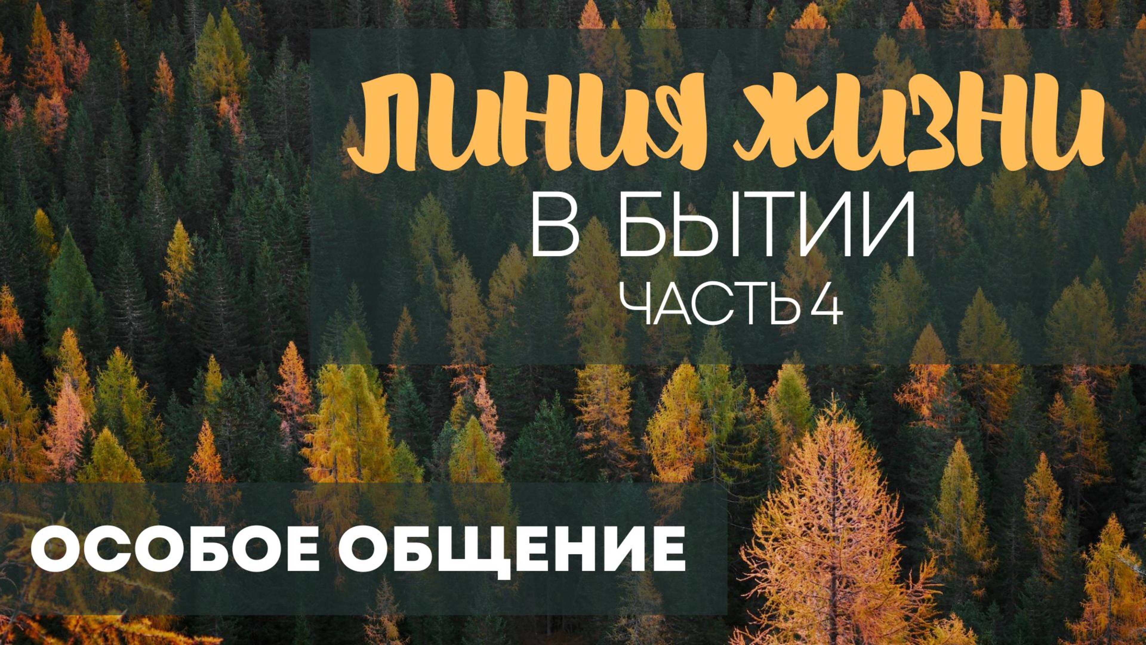 Особое общение — Надлежащий взгляд на брак в Божьем домостроительстве