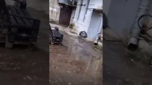 Haval Dargo 🦫 полет нормальный