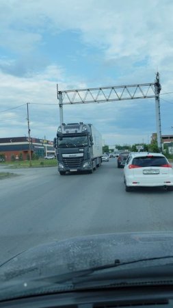 Серый красавчик!💪