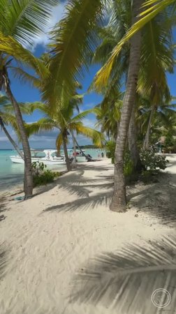 Остров Саона, Доминиканская Республика🌴