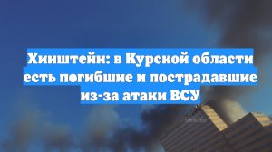 Хинштейн: в Курской области есть погибшие и пострадавшие из-за атаки ВСУ