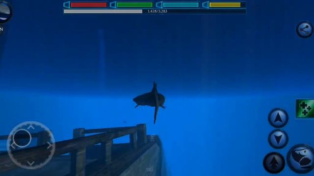 Ultimate Shark Simulator Начало жизни Тигровой акулы Эпизод 1