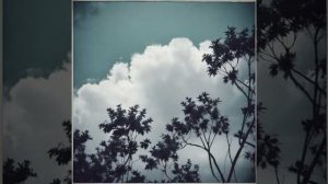 Кравченко Дмитрий - Зачем спешить (вар1)