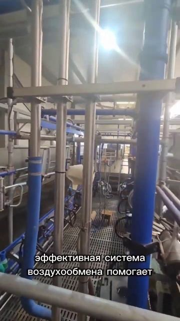 Секреты защиты сельхозтехники в ангарах #стройка смотреть онлайн