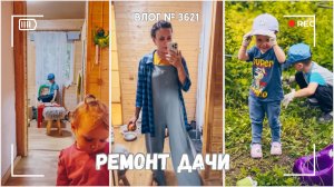 Нам привезли двери для кошек | Печник сказал, что так нельзя | Уборка  -  ВЛОГ №3622 - 05.06.25