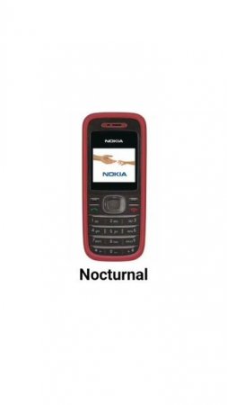 NOKIA 1208 RINGTONE - "Nocturnal"