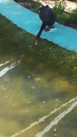 VID_20250528_170714.mp4