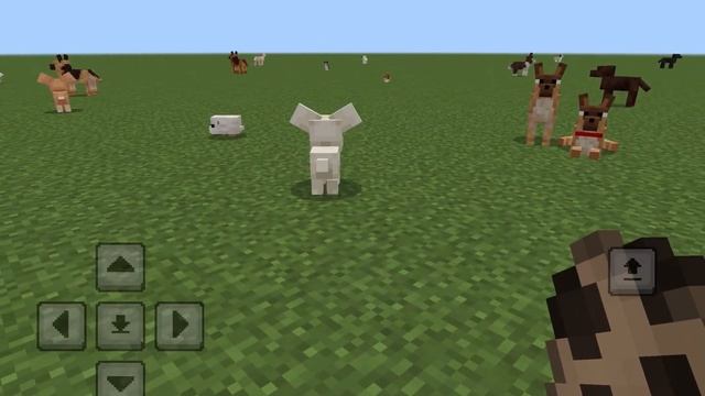 ОЦЕНИВАЮ МОД НА ЖИВОТНЫХ в Майнкрафте! смотреть онлайн