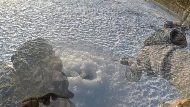 ЛОВИТЬ?!! Уметь нужно! смотреть онлайн