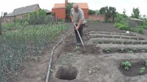 ДОЖДЬ ПОКАПАЛ И ПРОШЕЛ!!С ОБЕДА В ОГОРОД!!ТРАВА ЗАКАНЧИВАЕТСЯ!!ПОГОДА НАСТРАИВАЕТСЯ!!ИДЁТ ЖАРА!!