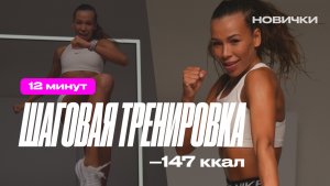 Шаговый жиротоп для новичков | домашняя кардио тренировка за 12 минут