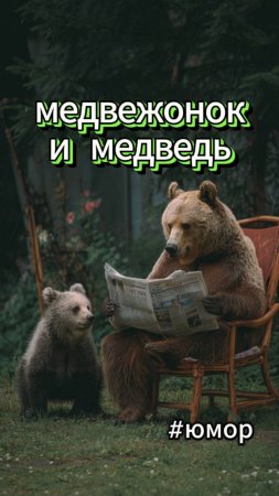 #юмор Семья медведей