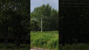 Вдалеке от суетного центра