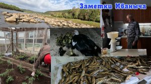 Неизданное: майские дела. Заморозки.