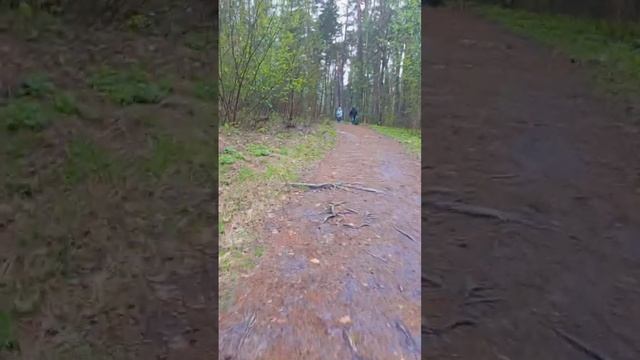 Оптина Пустынь.18 апреля 2024.Это как я шла к источнику Па смотреть онлайн