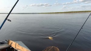 Рыбалка в Холмогорском районе
05.06.2025г.