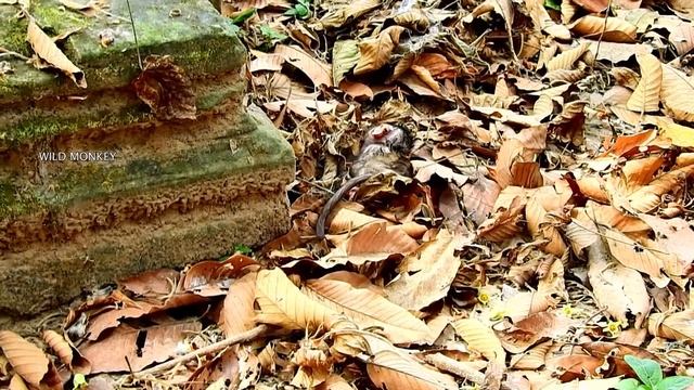 Преступная халатность. смотреть онлайн