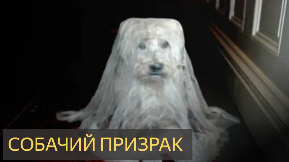Собачий призрак (Мистическая история)
