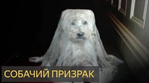 Собачий призрак (Мистическая история)