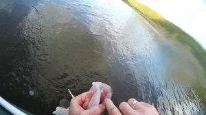 весна 2025, джиг на оке, судак, вечерка