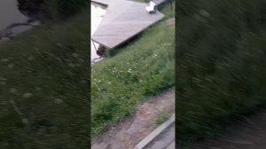 1000104758.mp4