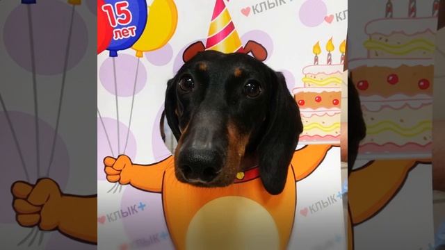 Happy Birthday!