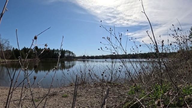 Озеро спокойствия. Расслабляющие звуки природы. Лесная гармония.