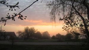 Апрельское Утро  Пение Птиц  Звуки Природы  Петухи  Аис