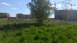 Поёт серая славка рядом с ЖК Середневский лес
