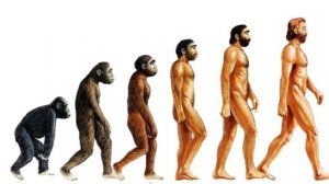 Урок 1 по истории 5 класс, как выживали древние люди?