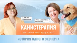 Канистерапия: Как собаки влияют на ваше здоровье?