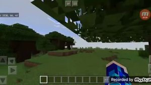 ключ генерации на Лесной особняк в Майнкрафте.