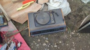 горожане выкинули практически деньги