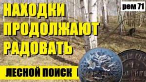 или МАЛО НО ОНИ ЕСТЬ. рем 71