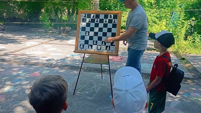 Шахматы. Секреты