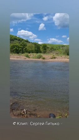 Прогулка по речке