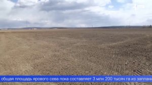 Посевная кампания на Урале завершена на 75 процентов