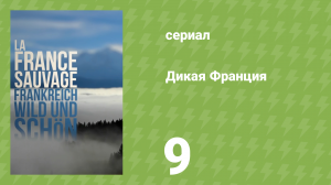 Дикая франция 9 серия «Скрытая жизнь Бокажа» (документальный сериал, 2012)
