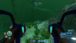 ГДЕ НАЙТИ НАСТУРАН? - subnautica