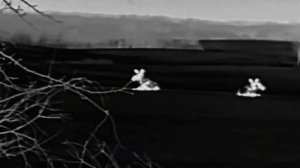 Тепловизор ARKON Nevis в условиях реальной охоты