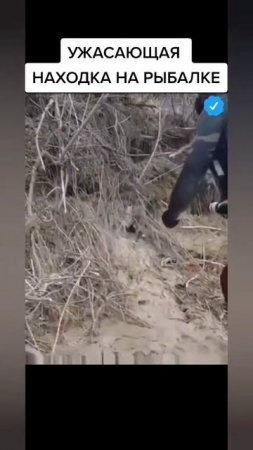 Ужасающая находка на рыбалке