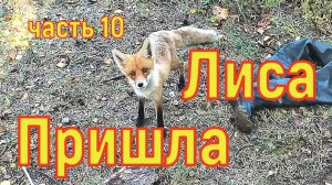 Водно Моторный поход по Каме часть10