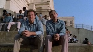 !НОВИНКА ! КРАТКИЙ ПЕРЕСКАЗ ФИЛЬМА ! 2025